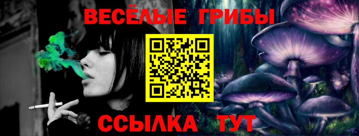 Анжеро-Судженск  Галлюциногенные грибы Cubensis  Галлюциногенные грибы Psilocybine cubensis  Вход с VPN 